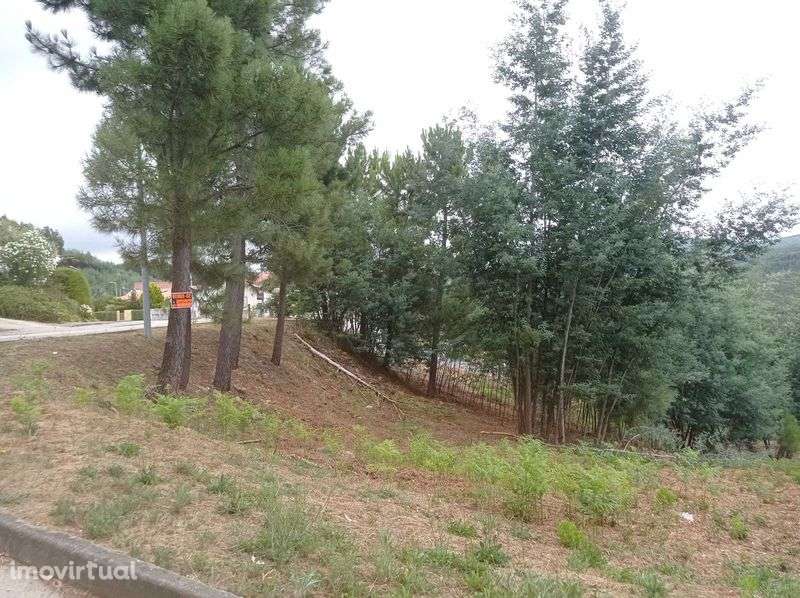 Terreno Urbano no Centro de Castanheira de Pera - Grande imagem: 2/7