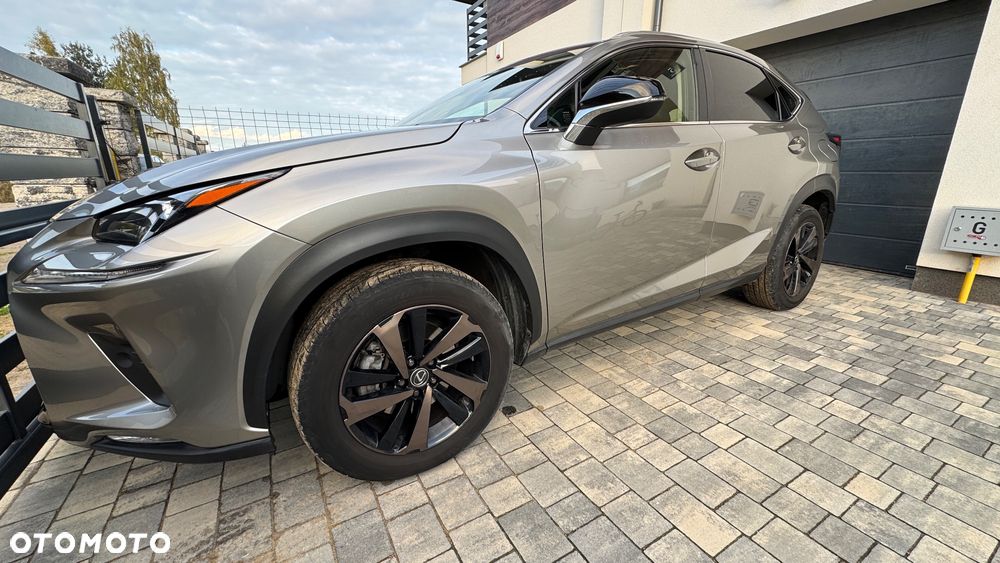 Lexus NX 300 Business Edition AWD - 14