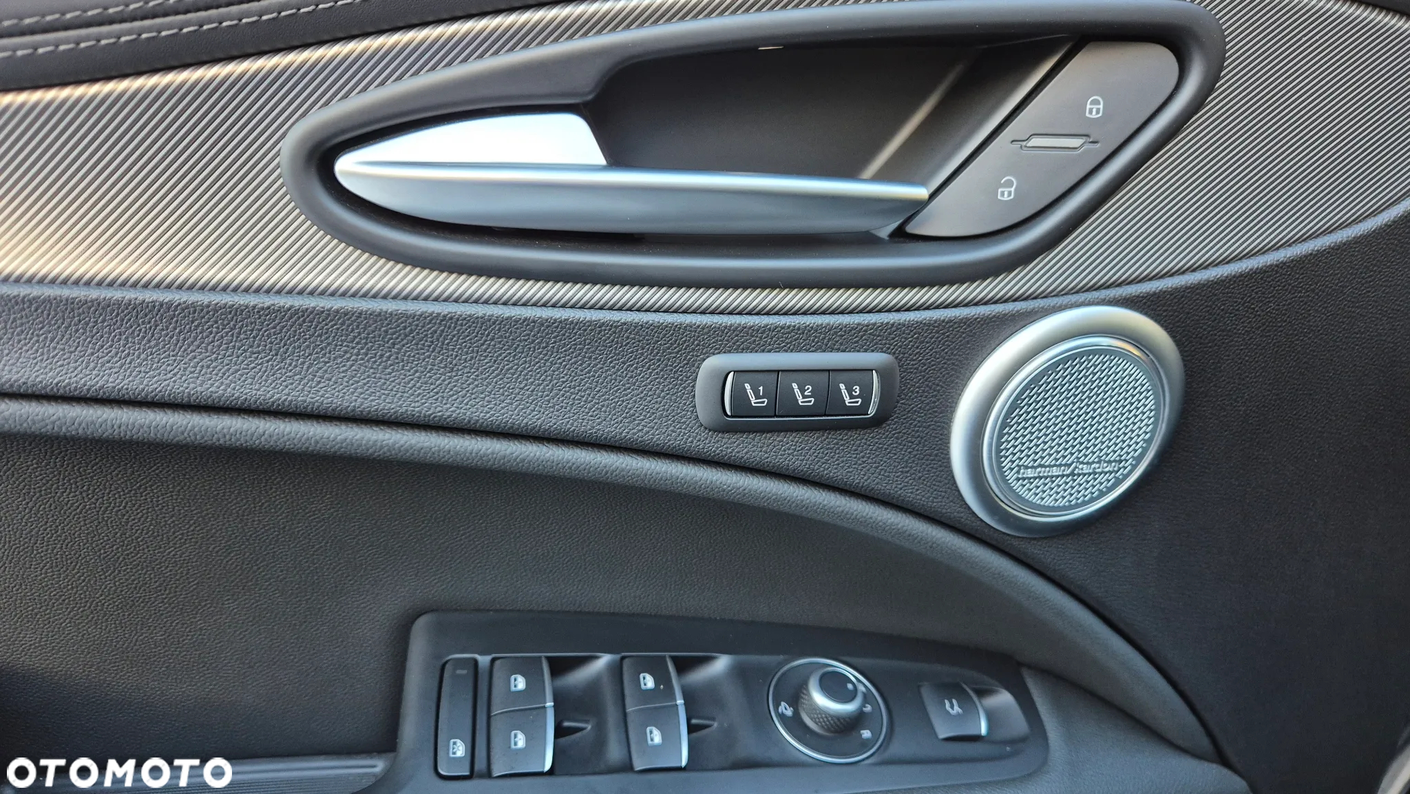 Alfa Romeo Stelvio 2.0 Turbo Veloce TI Q4 - 17