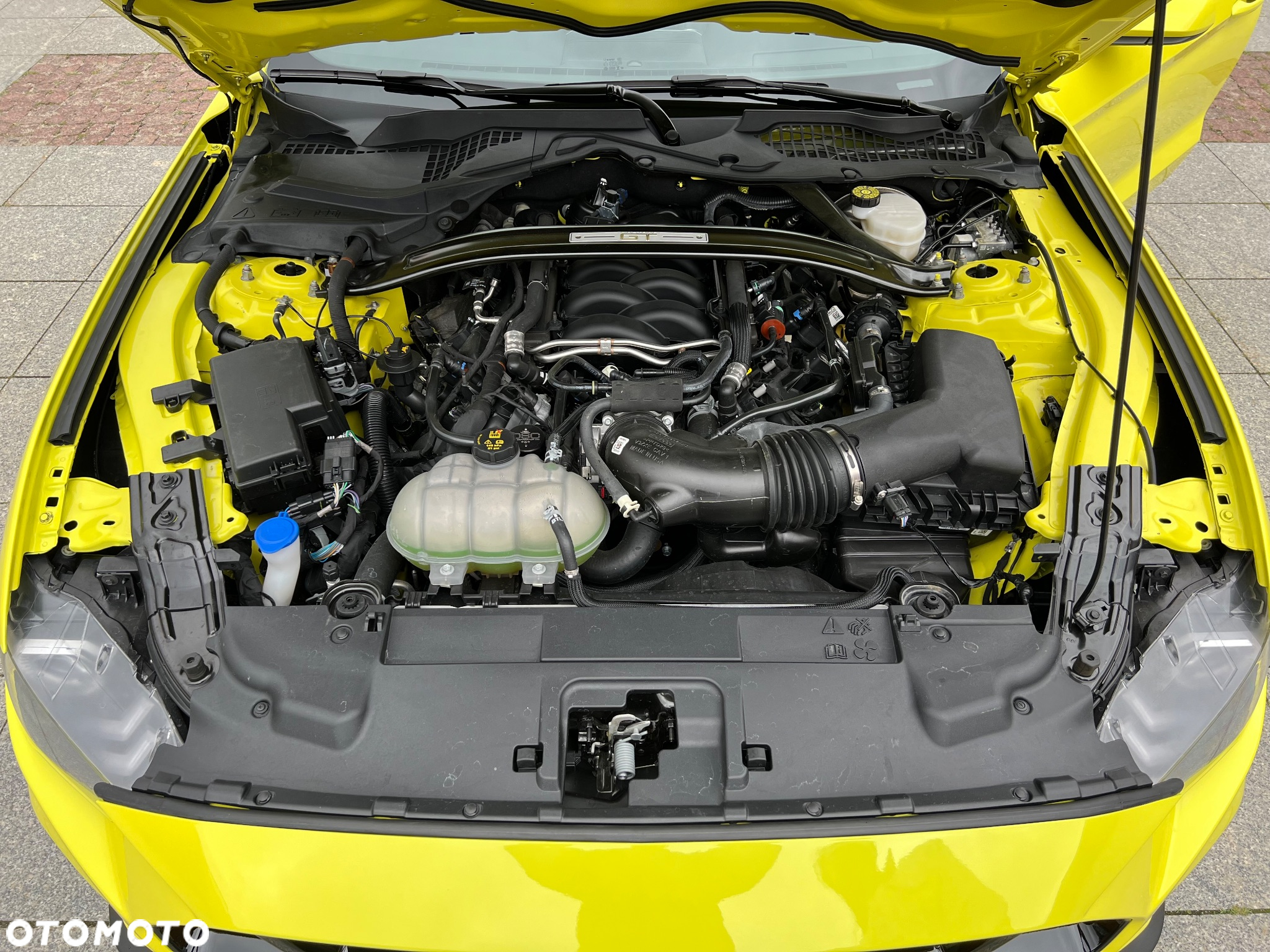 Ford Mustang 5.0 V8 Mach 1 - 12