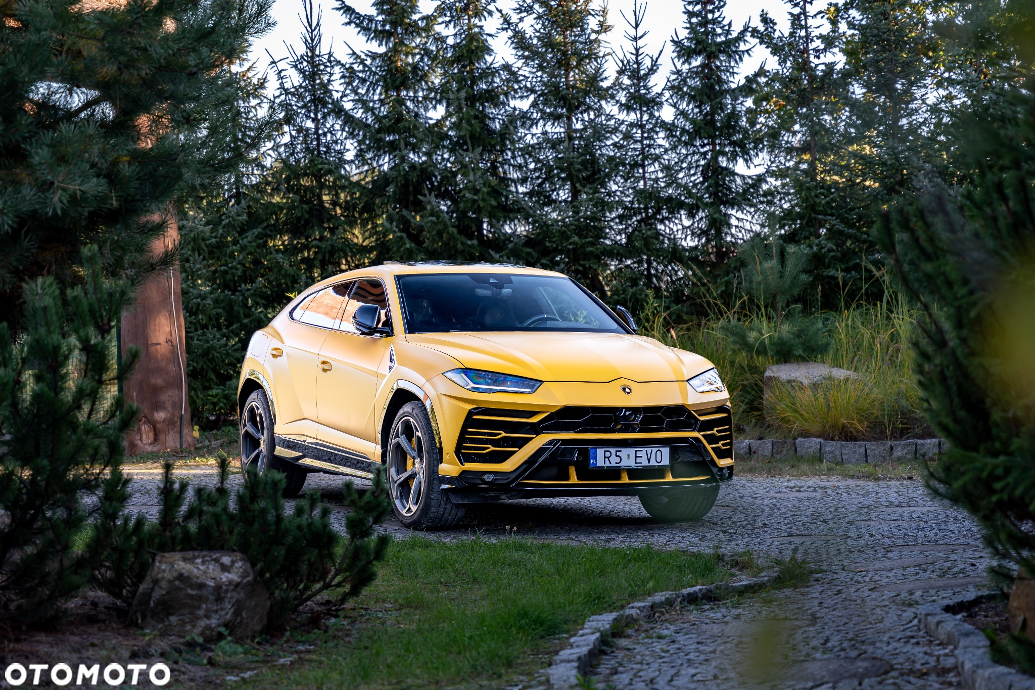 Lamborghini Urus Standard - 15