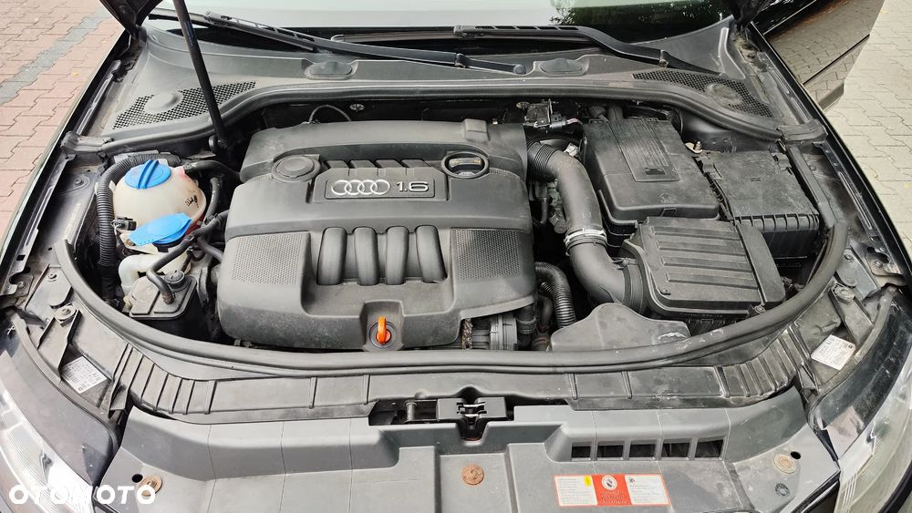 Audi A3 Sportback 1.6 Attraction - 33