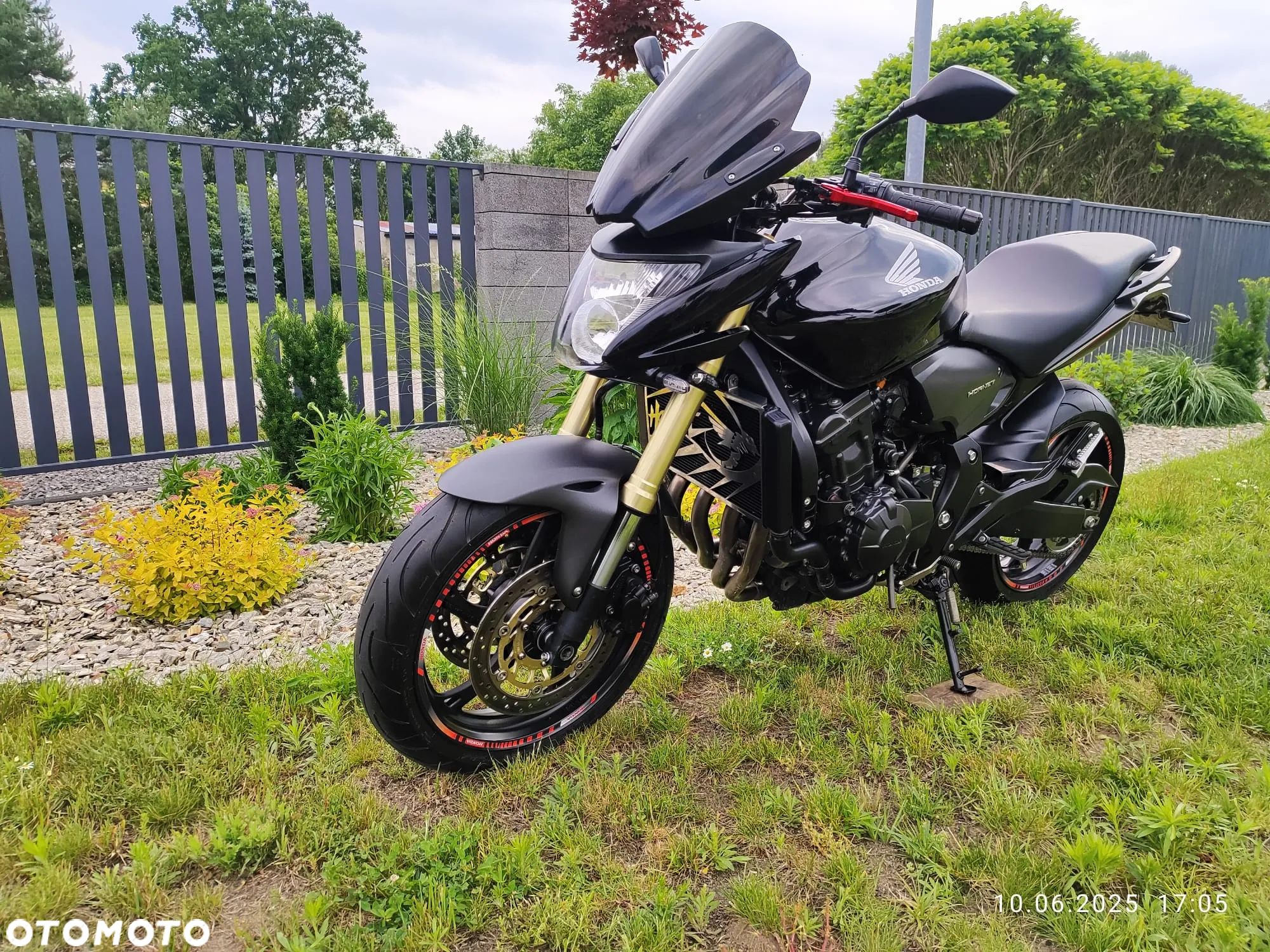 Honda Hornet - 1