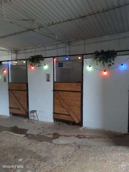 Alugo Parte Quinta picadeiro  cavelariças - Grande imagem: 5/9