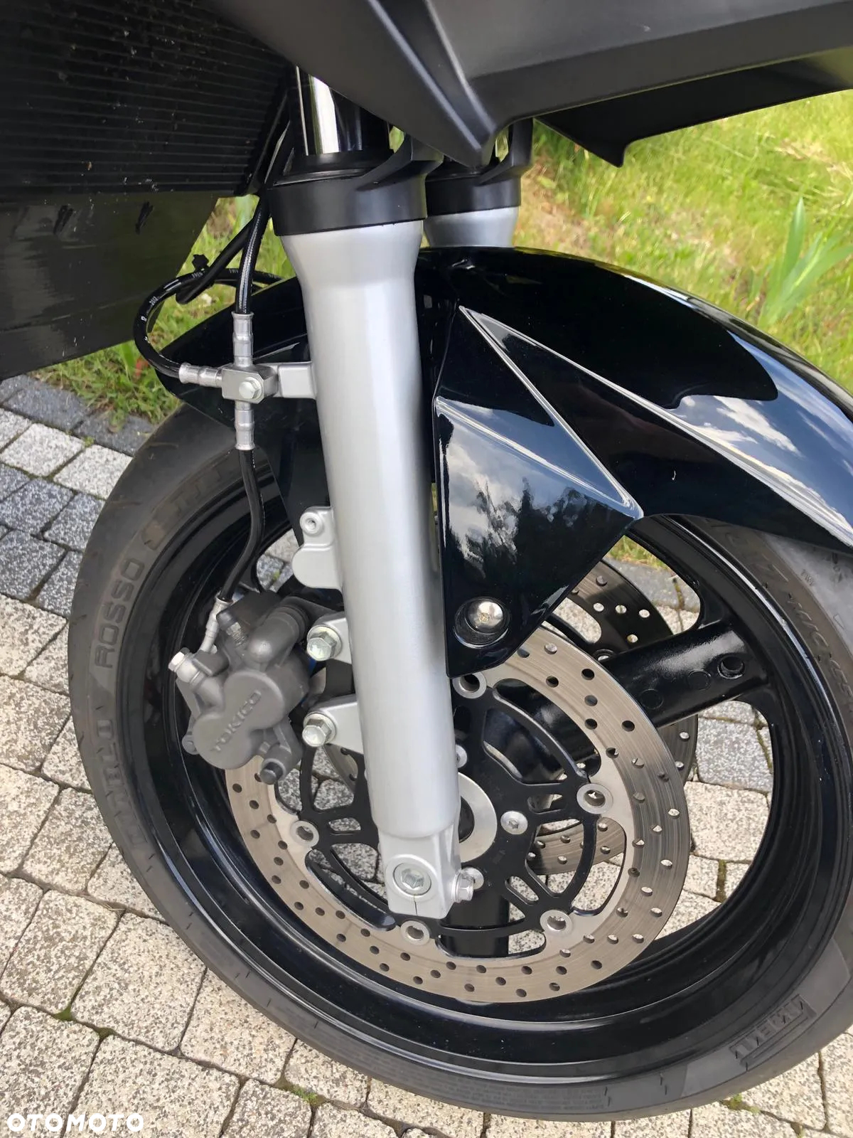 Suzuki SV - 13