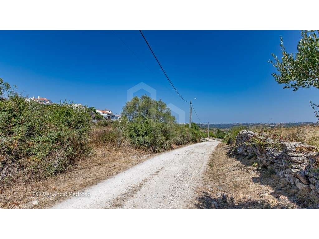 Vende Terreno - Ericeira 13 km, A Casa das Casas - Grande imagem: 3/7
