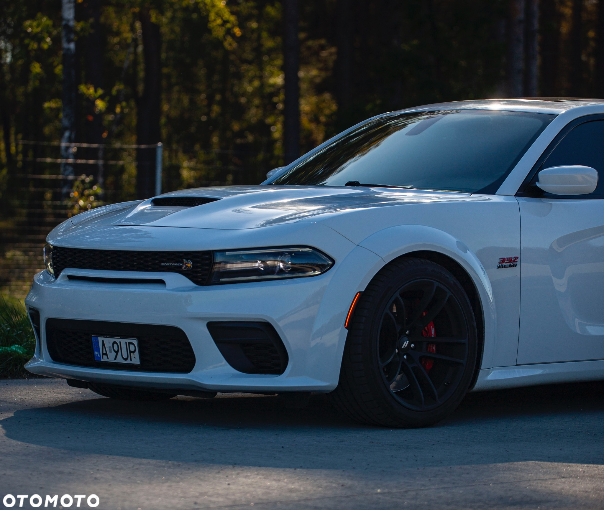 Dodge Charger 6.4 Scat Pack Widebody - 32