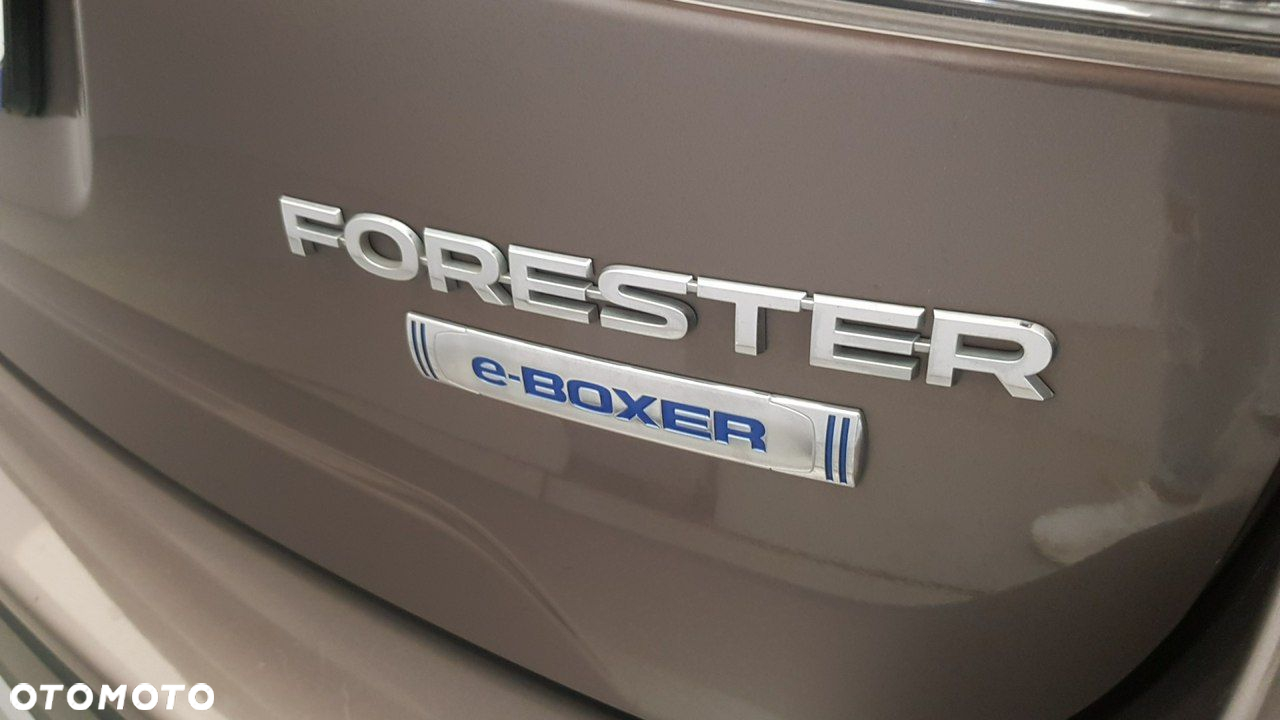 Subaru Forester - 16
