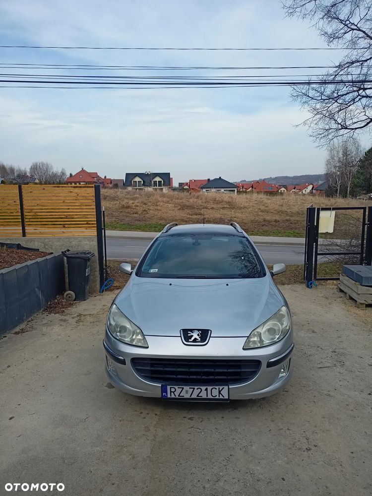 Peugeot 407 - 19