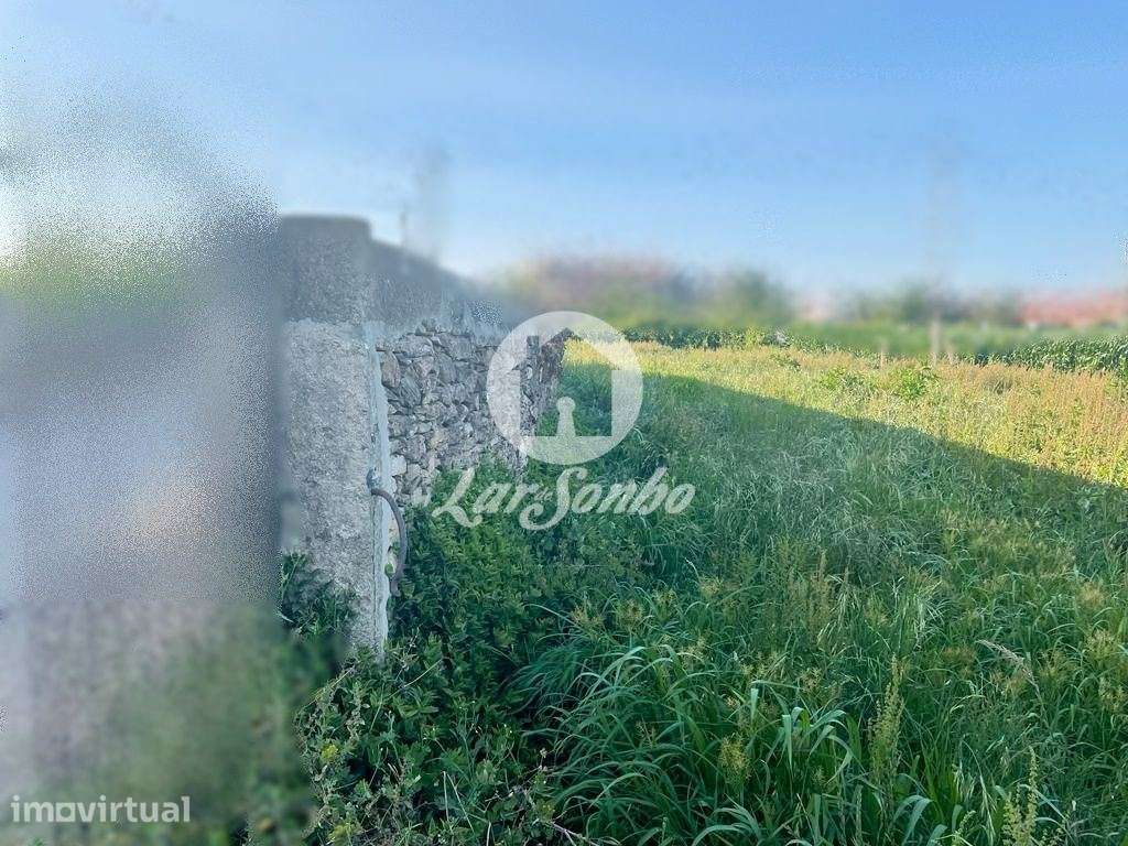 Terreno Agrícola c/ 2200m2, murado em Rates, Póvoa de Varzim - Grande imagem: 3/3