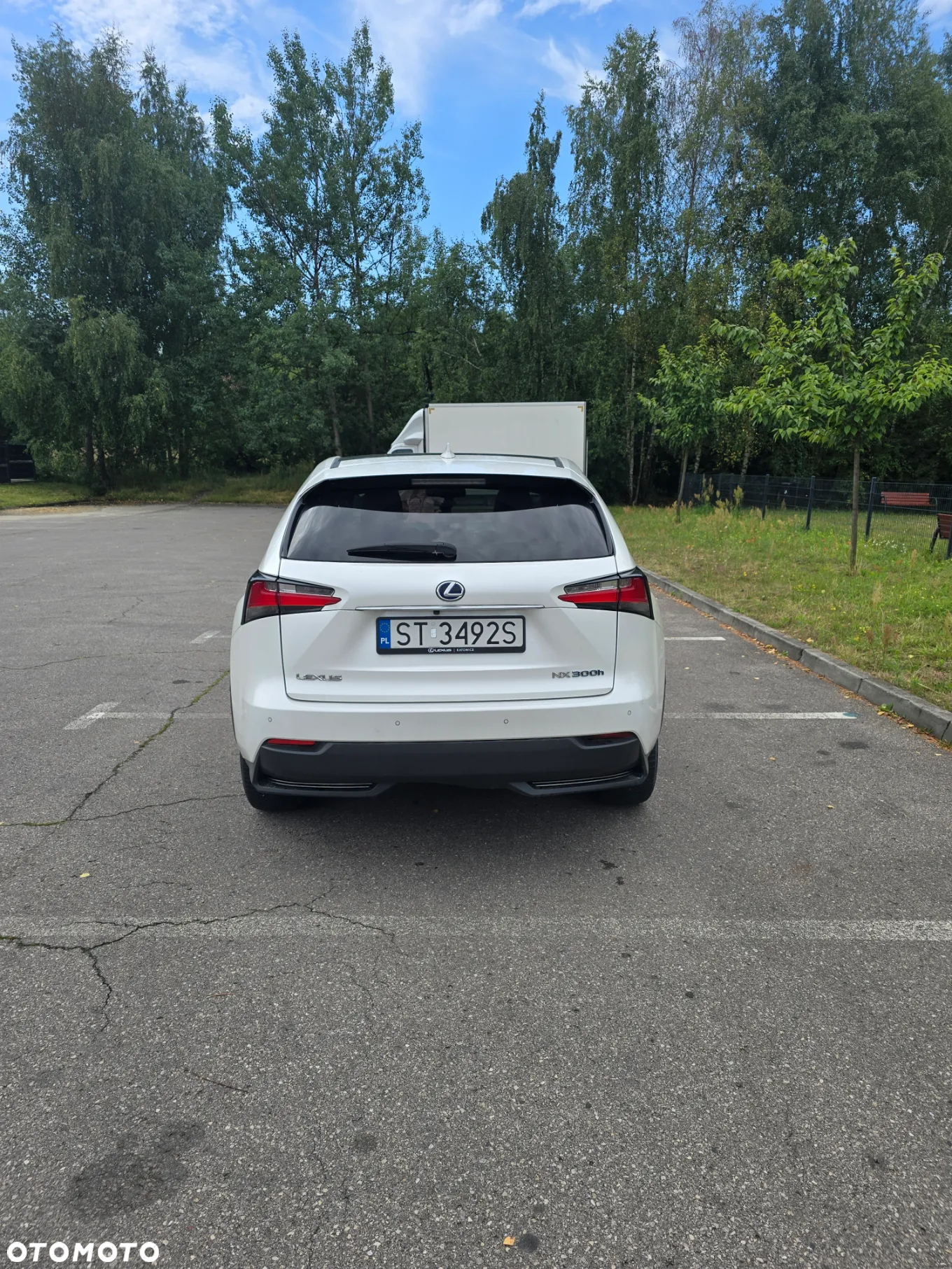 Lexus NX 300h F Sport Edition AWD - 6