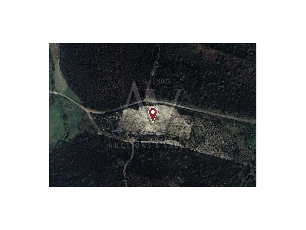 Terreno para construção - CAMPIA - VOUZELA | LEILÃO ELETRÓNICO | FI... - Grande imagem: 2/6