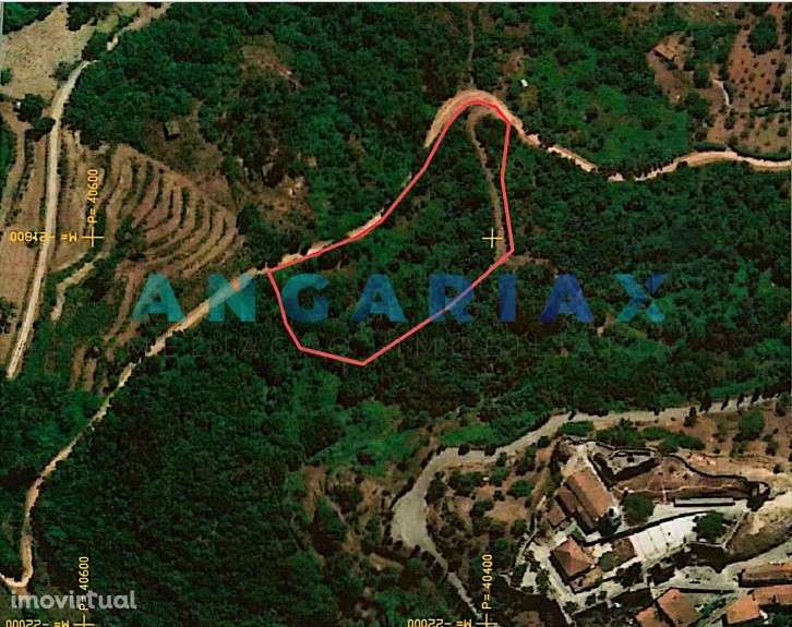 ANG407 - Terreno com 9900m2 para construção em Penela - Grande imagem: 2/3