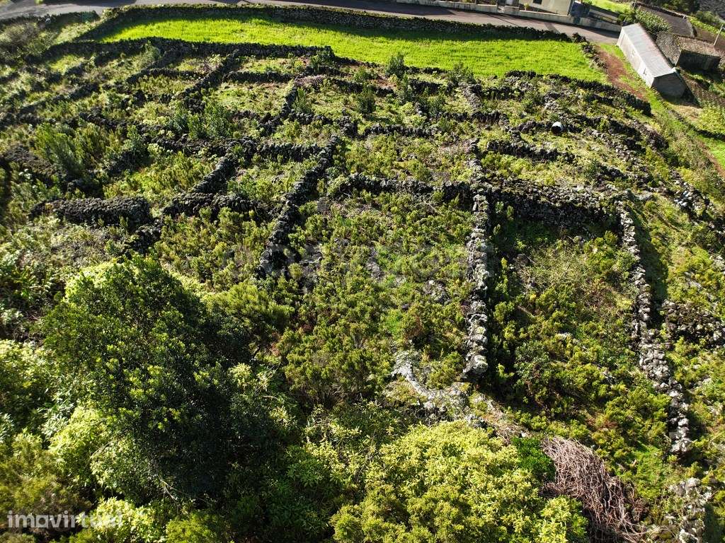 Terreno com Vista Mar e Elevado Potencial Turístico - Grande imagem: 5/20