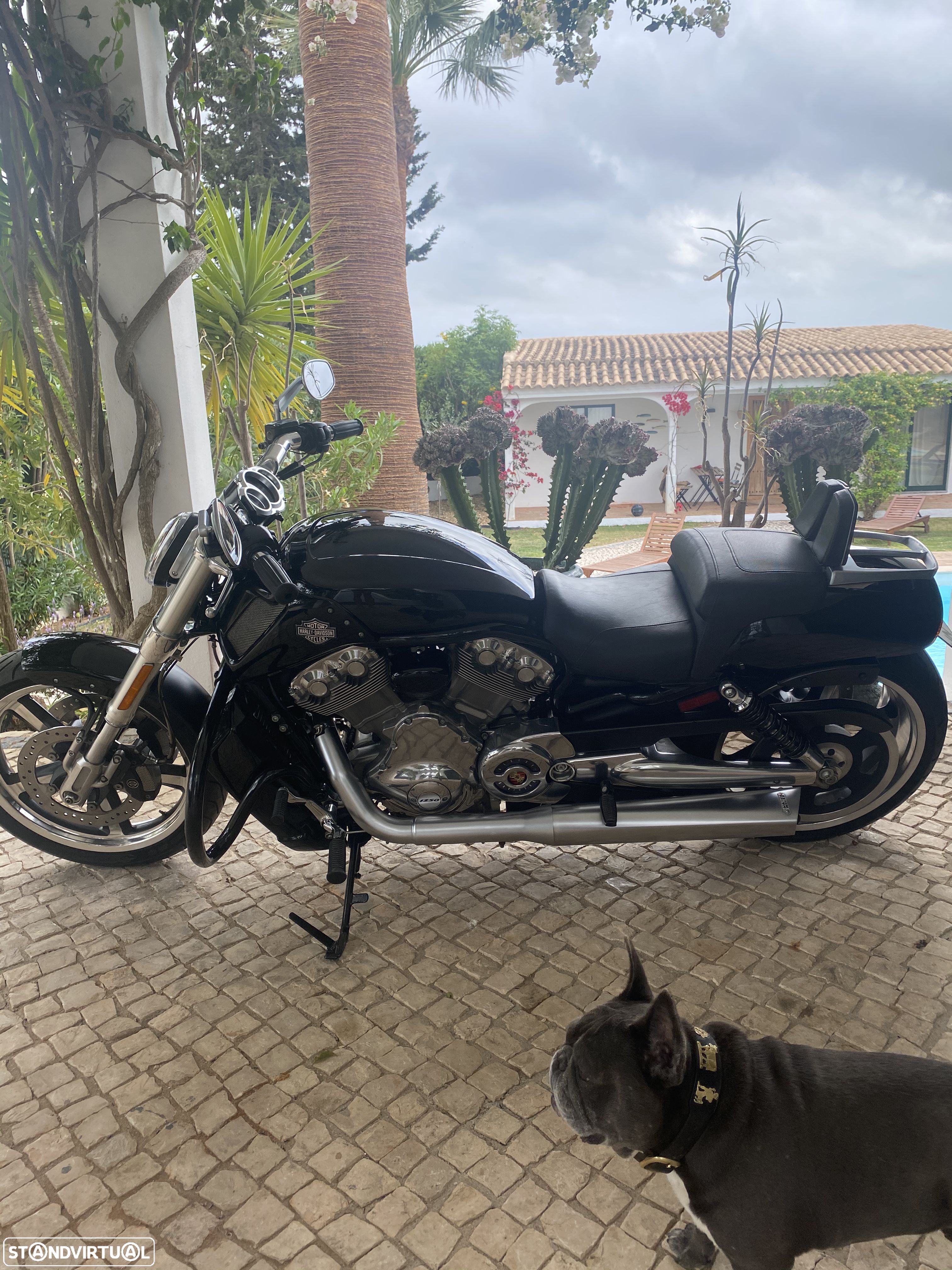 Harley-Davidson VRSCF V Rod Muscle - 1