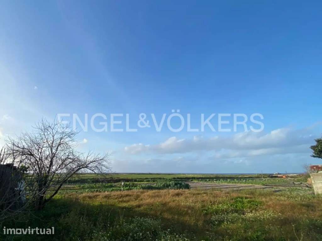 Terreno com vista arrozais na Comporta - Grande imagem: 2/9