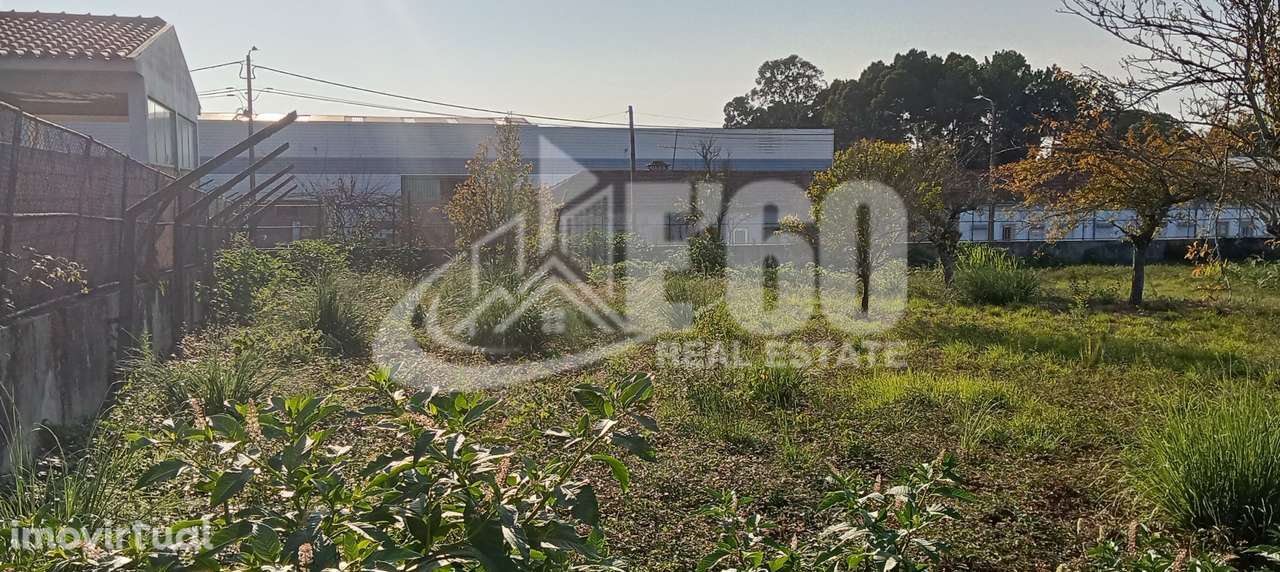 TERRENO PAÇOS BRANDÃO - Grande imagem: 5/8