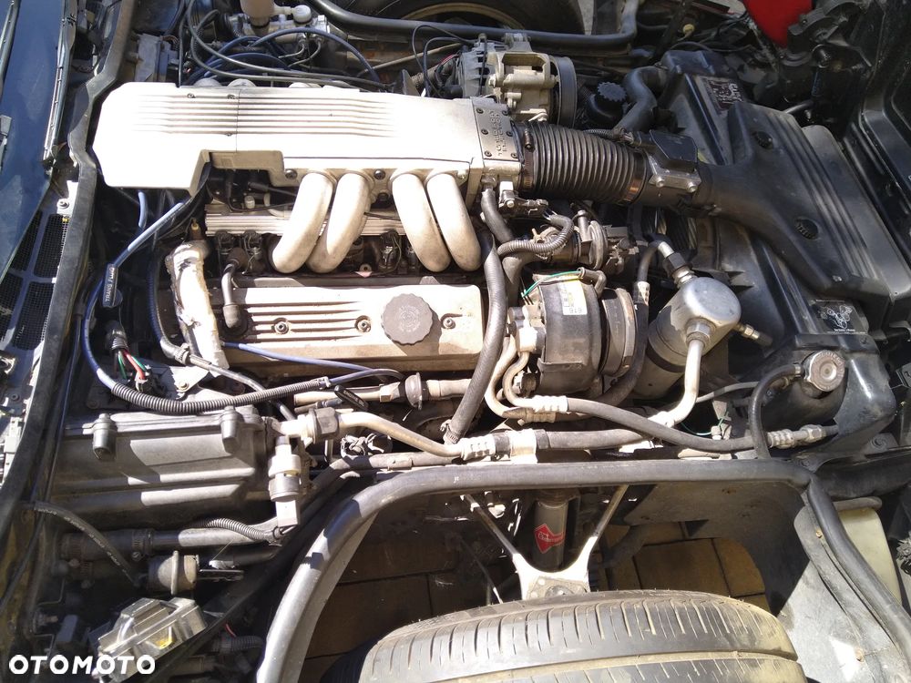 Chevrolet Corvette - 40