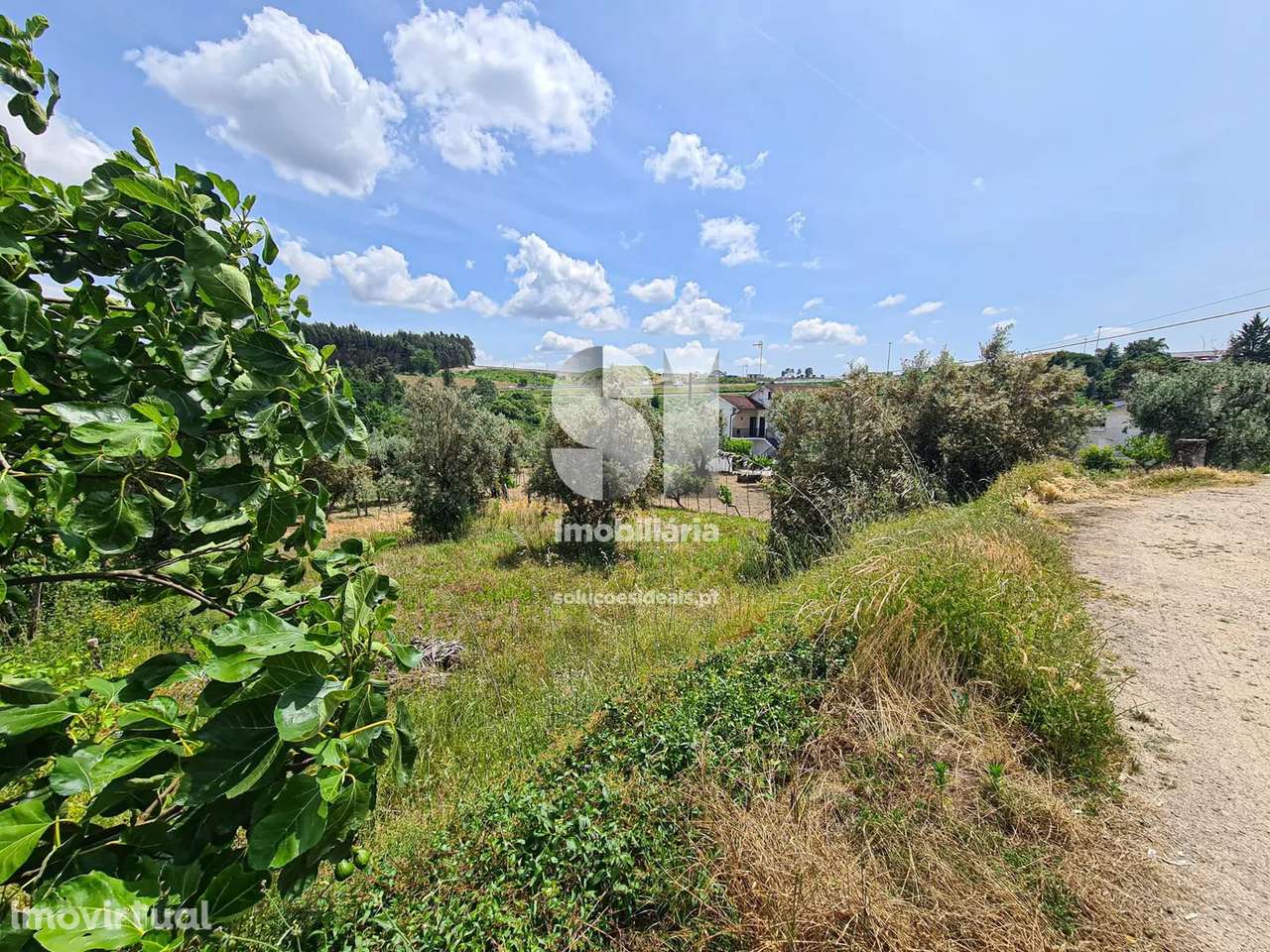Terreno em Viseu - Grande imagem: 5/17
