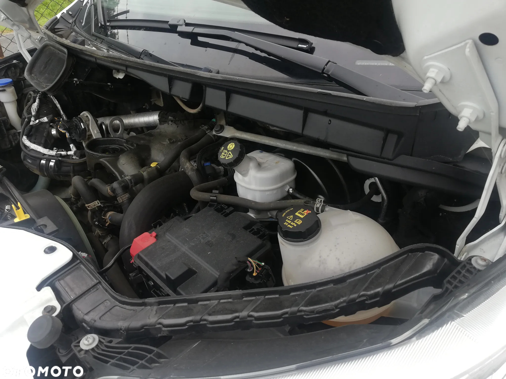 Ford Transit-Jumbo - 22