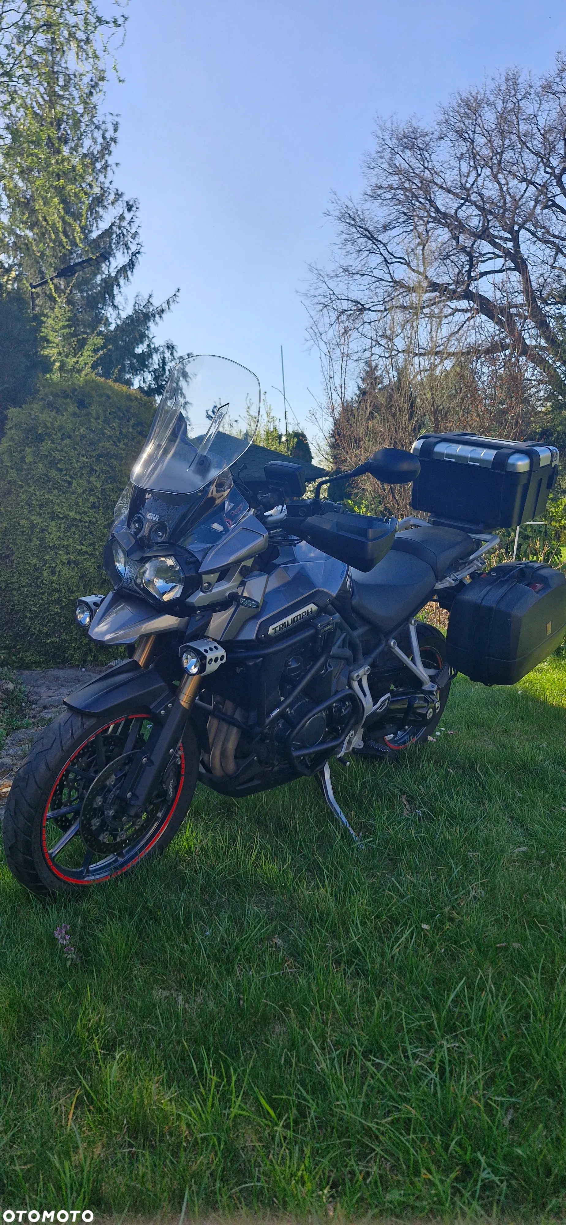 Triumph Tiger - 2