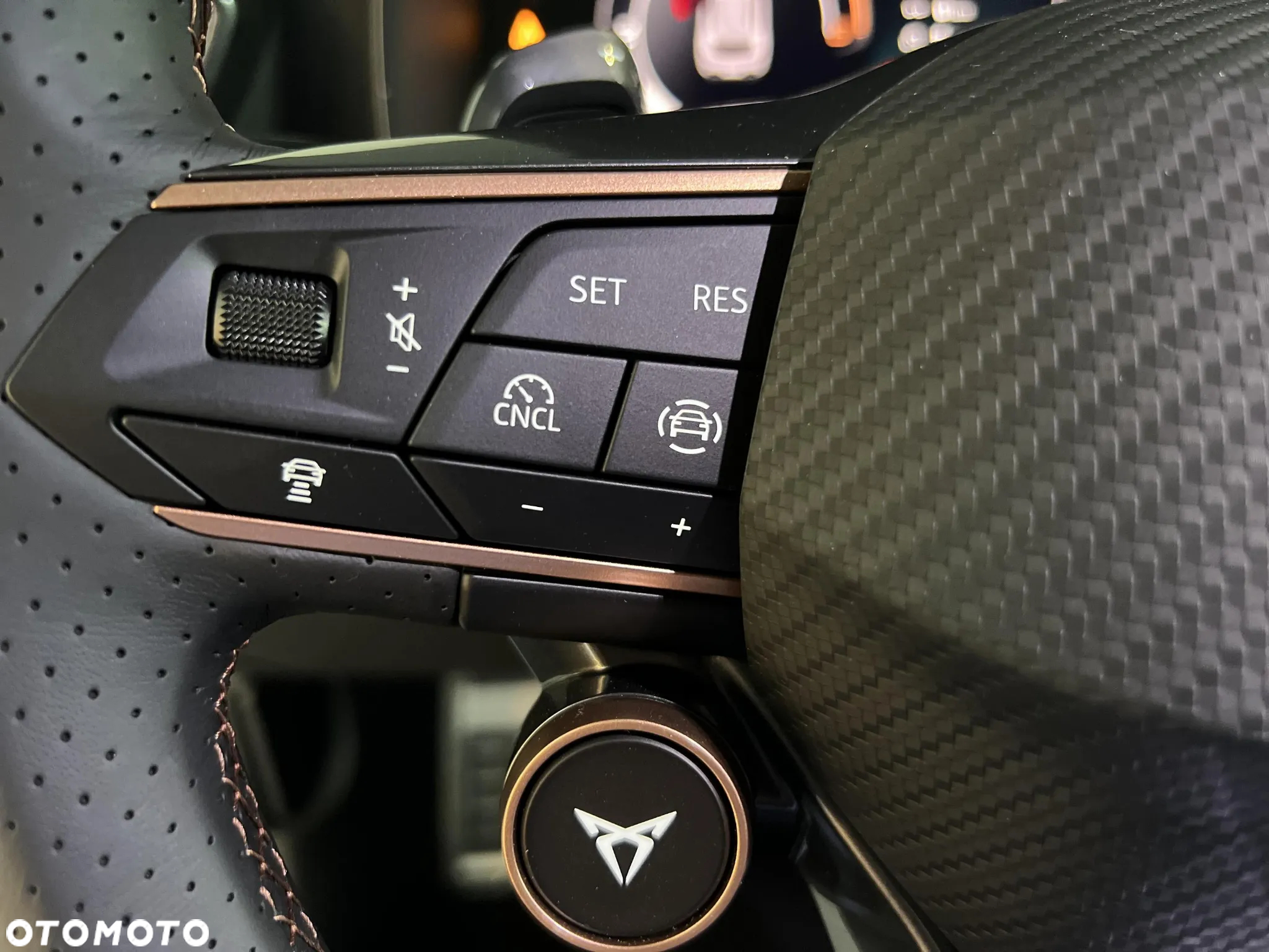 Cupra Formentor 1.5 TSI DSG - 12