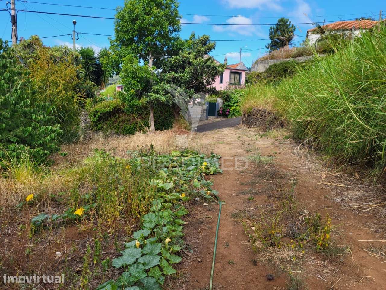 Terreno com 13.300m² em Santa Cruz – Vistas Panorâmicas de Mar e Serra - Grande imagem: 4/30
