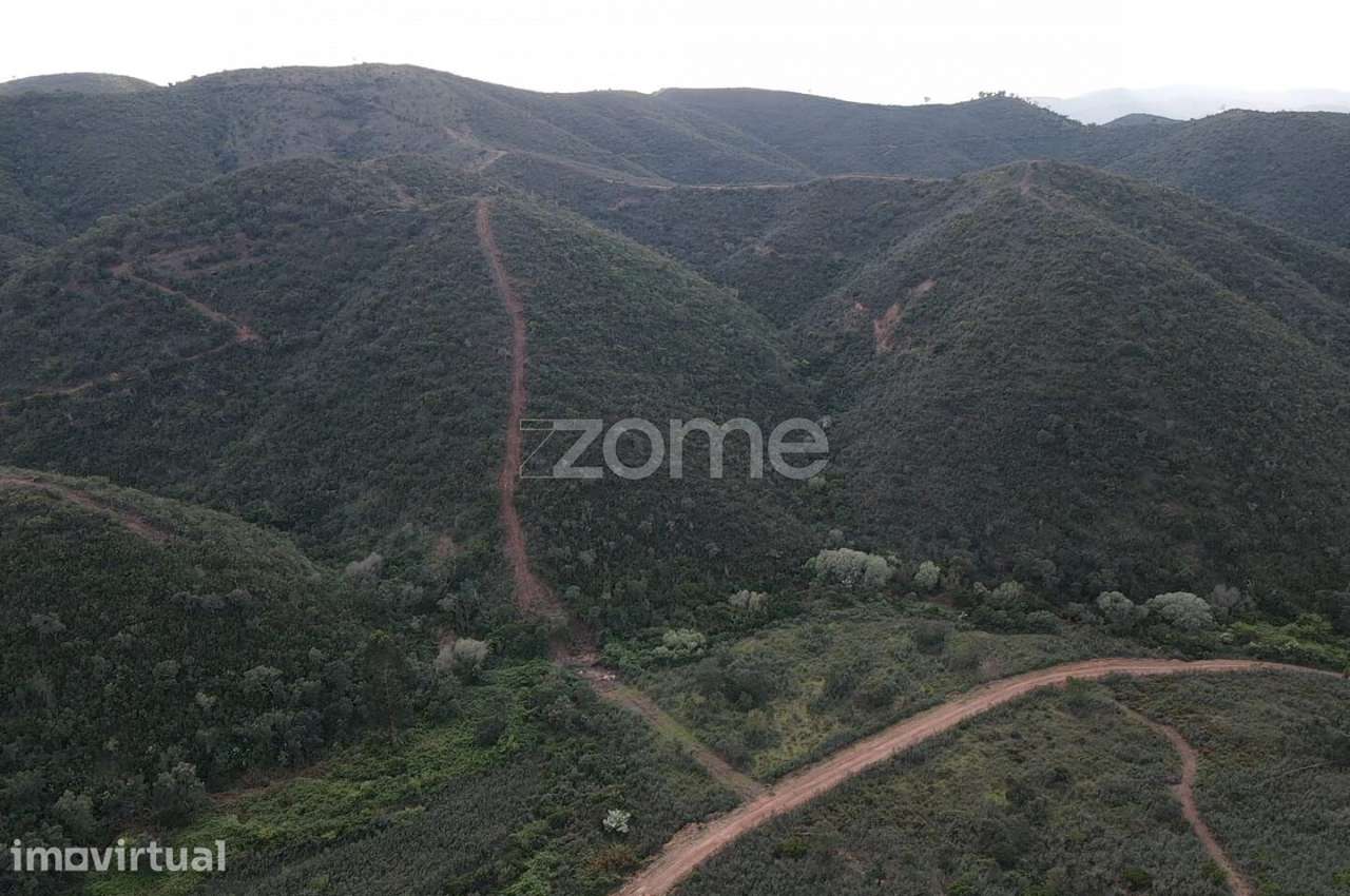 Terreno Rústico em Barranco do Talurdo com 183.520m2 - Grande imagem: 5/15