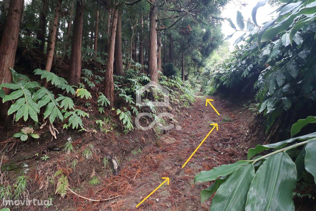 Terreno com 20.460,00 m2 - Água de Pau - Lagoa - Grande imagem: 4/11