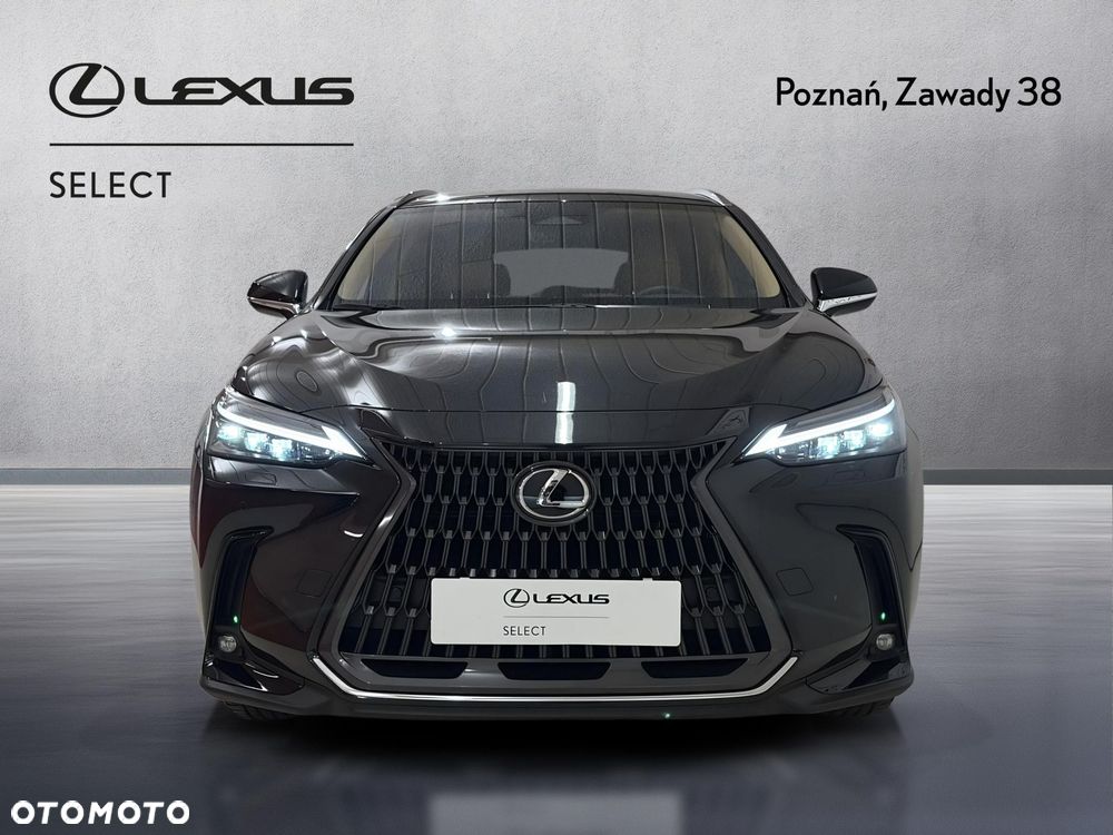 Lexus NX - 6