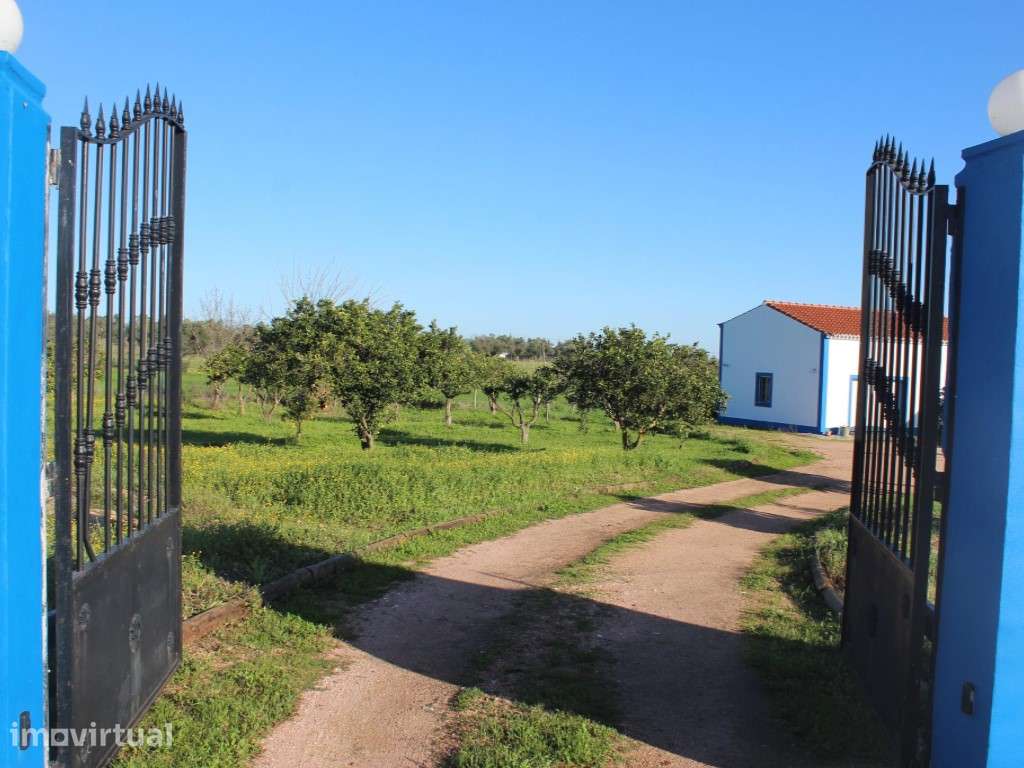 Quinta T4 em Reguengos de Monsaraz - Grande imagem: 3/41
