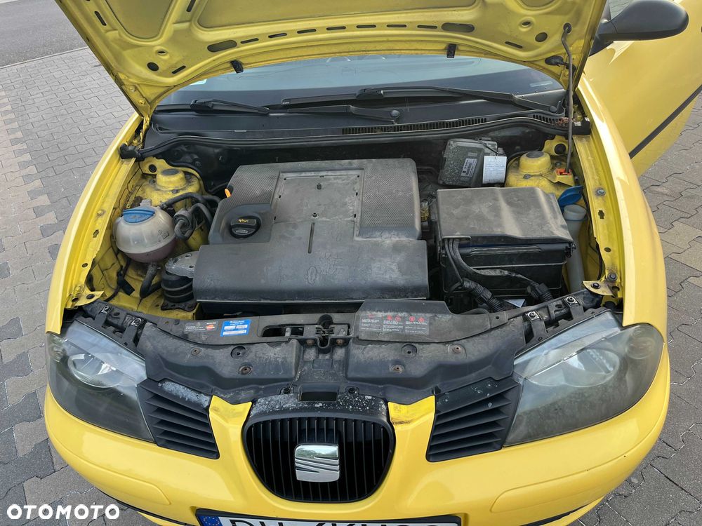 Seat Ibiza - 2