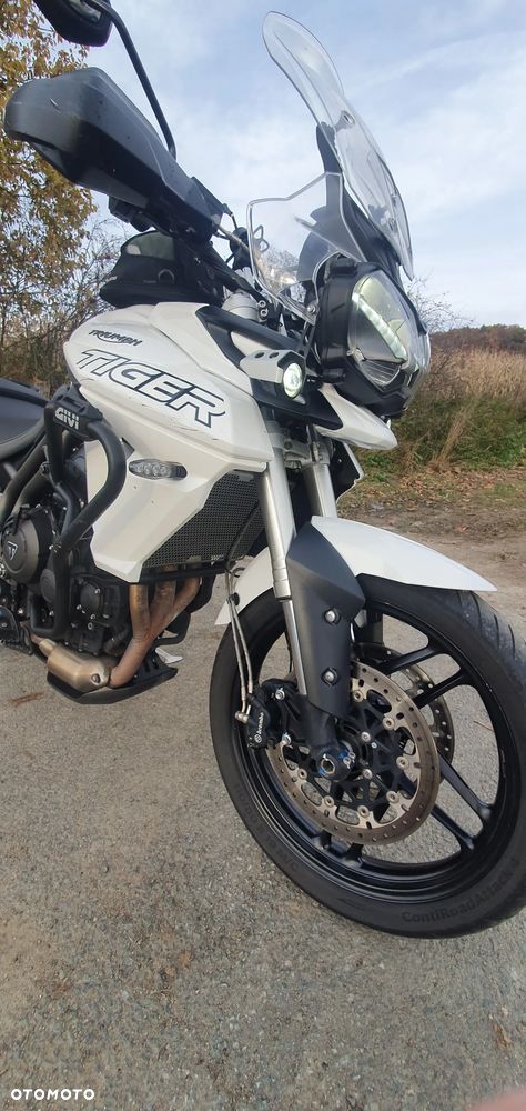 Triumph Tiger - 6