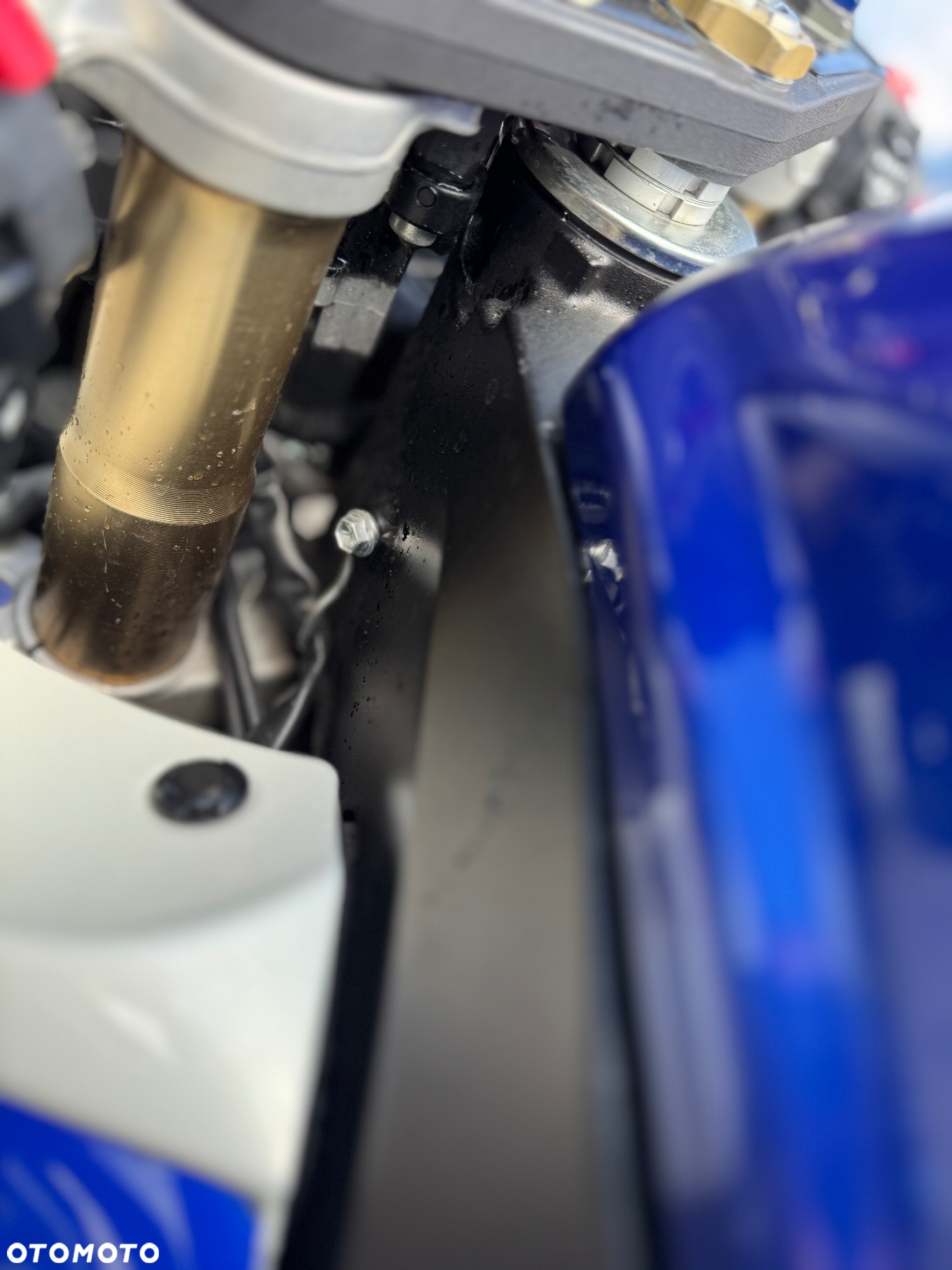 Suzuki GSX-R - 11