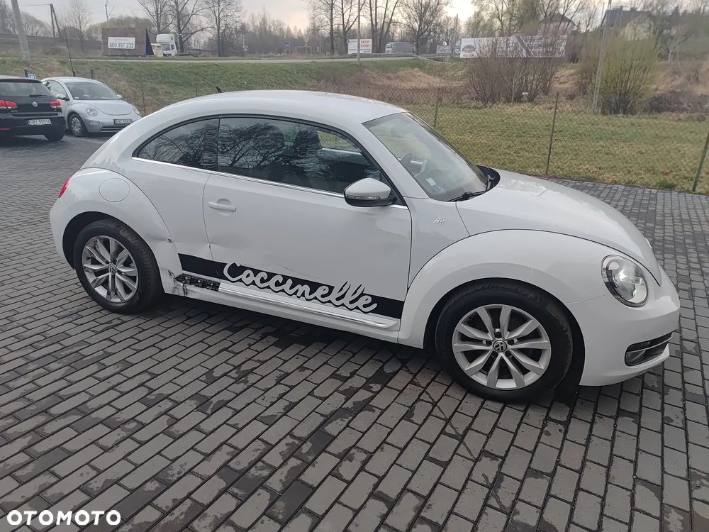 Volkswagen Beetle - 22