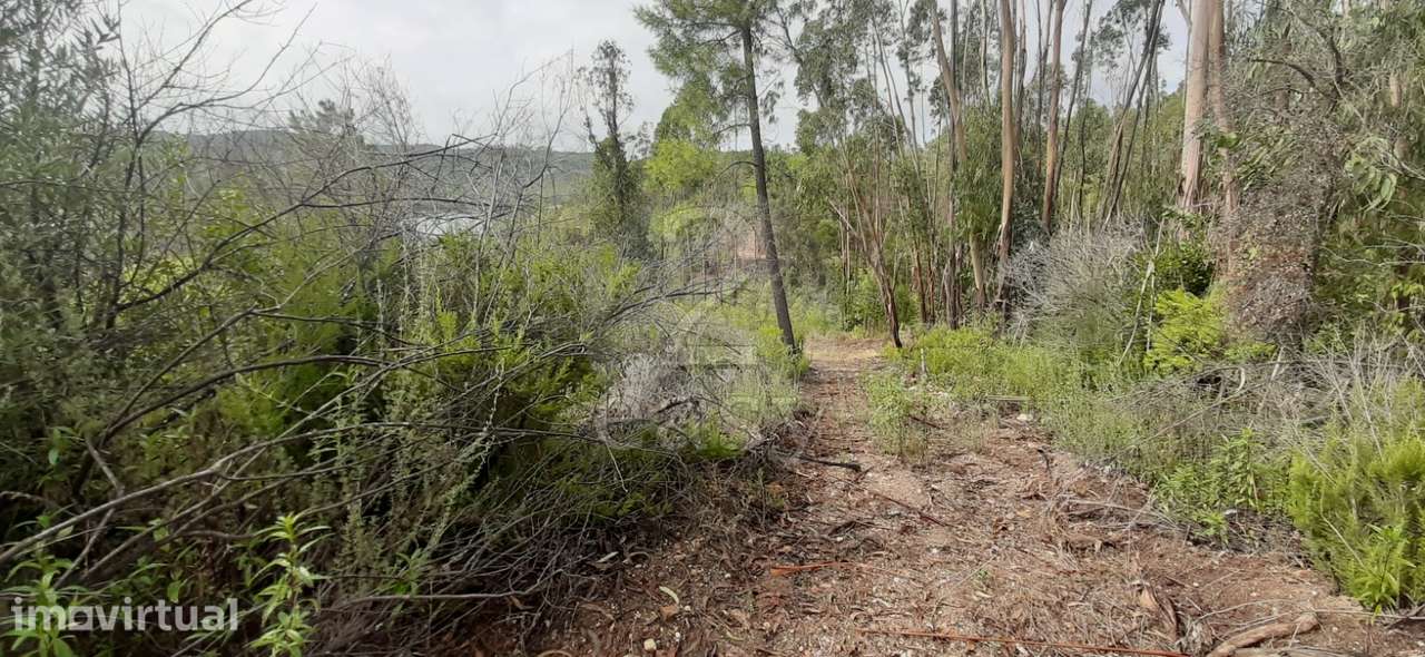 Terreno com microclima  para  Lima - Caviar - Grande imagem: 4/10