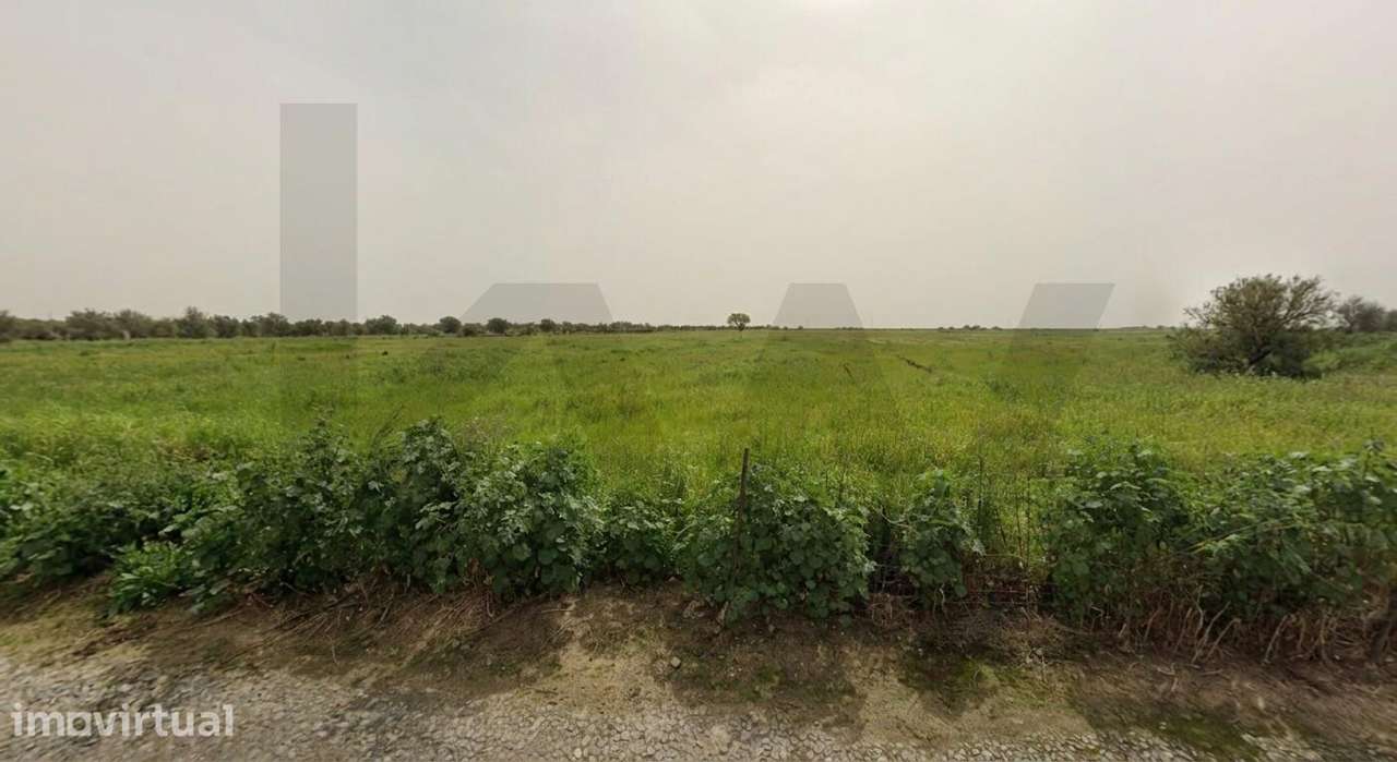 Onde a Planície encontra a Aventura: Moradia T3 com Quintal Generoso - Grande imagem: 3/6