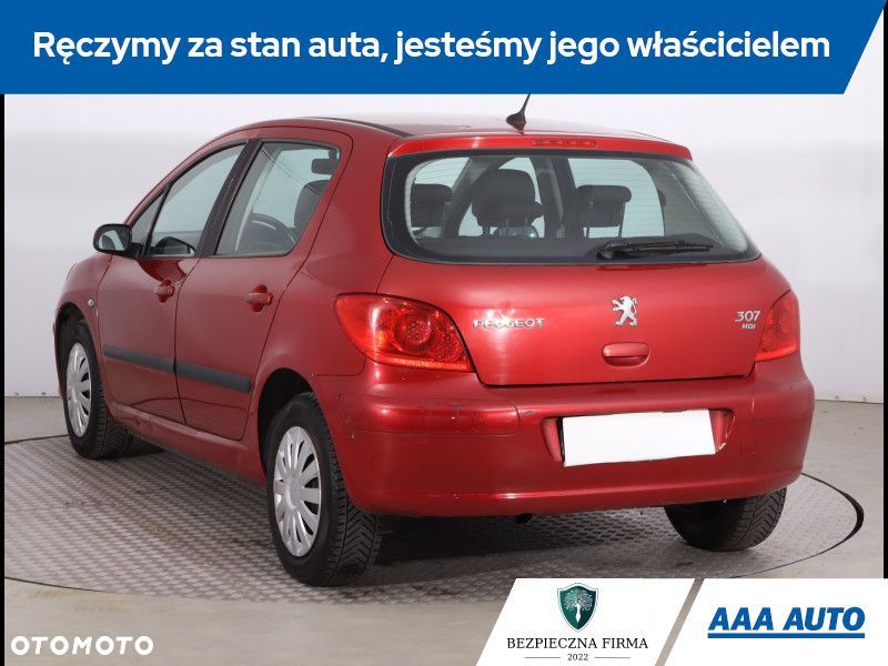 Peugeot 307 - 6