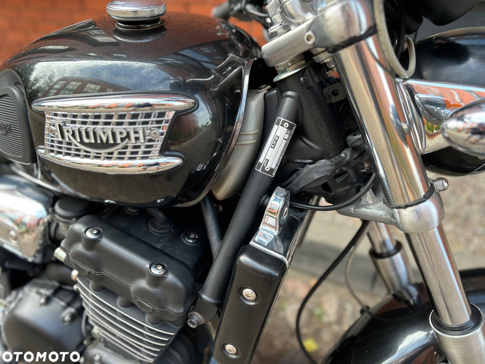 Triumph Legend TT - 14