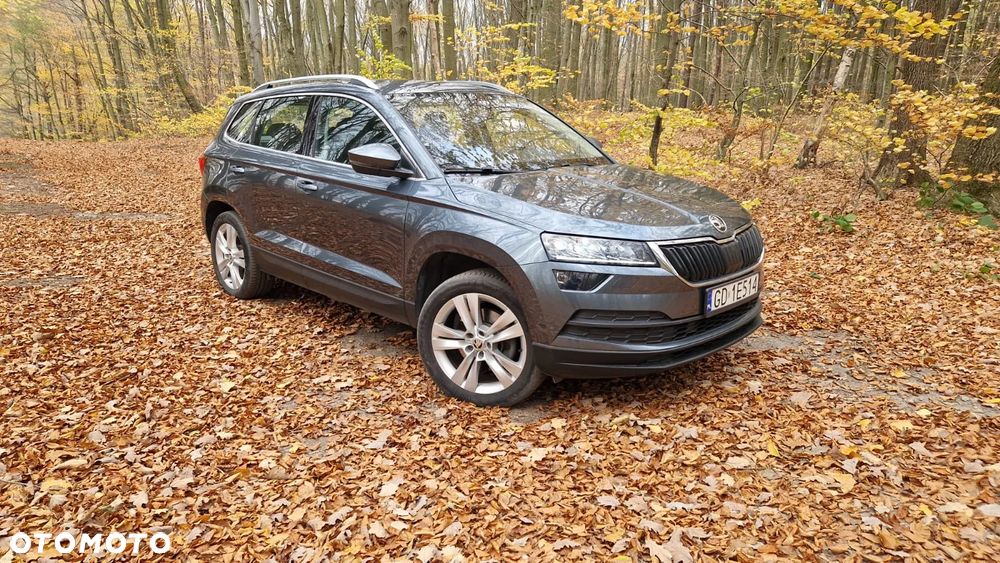 Skoda Karoq 2.0 TDI SCR 4x4 Style DSG - 7