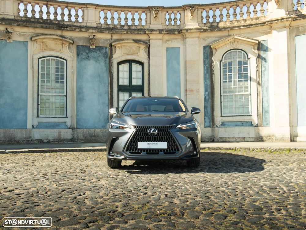 Lexus NX 450h+ - 5