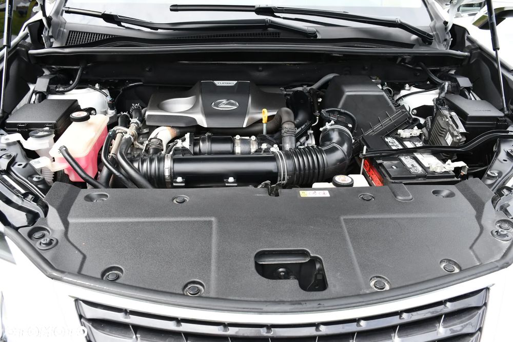 Lexus NX 300 Prestige AWD - 40