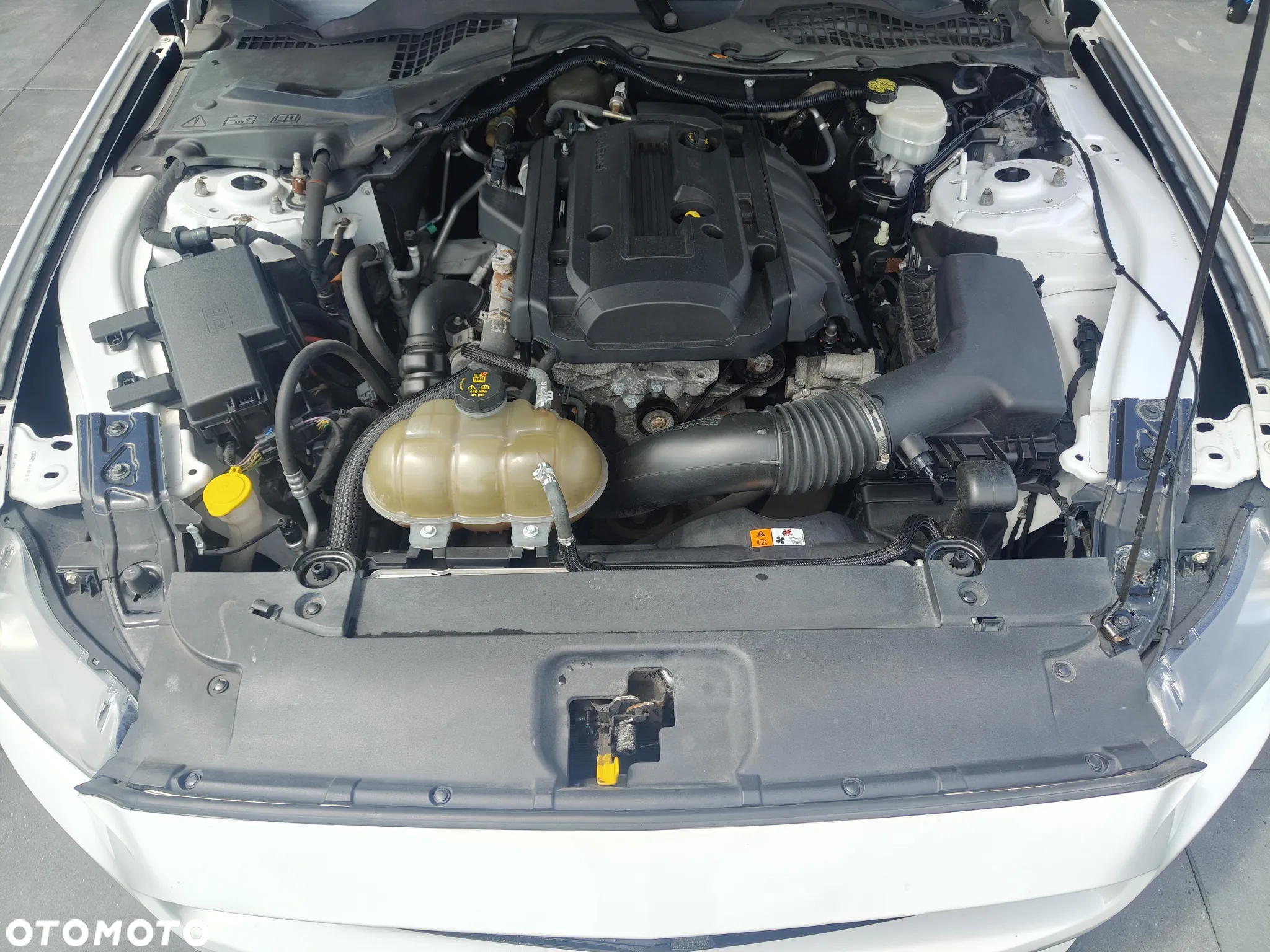 Ford Mustang 2.3 Eco Boost - 4