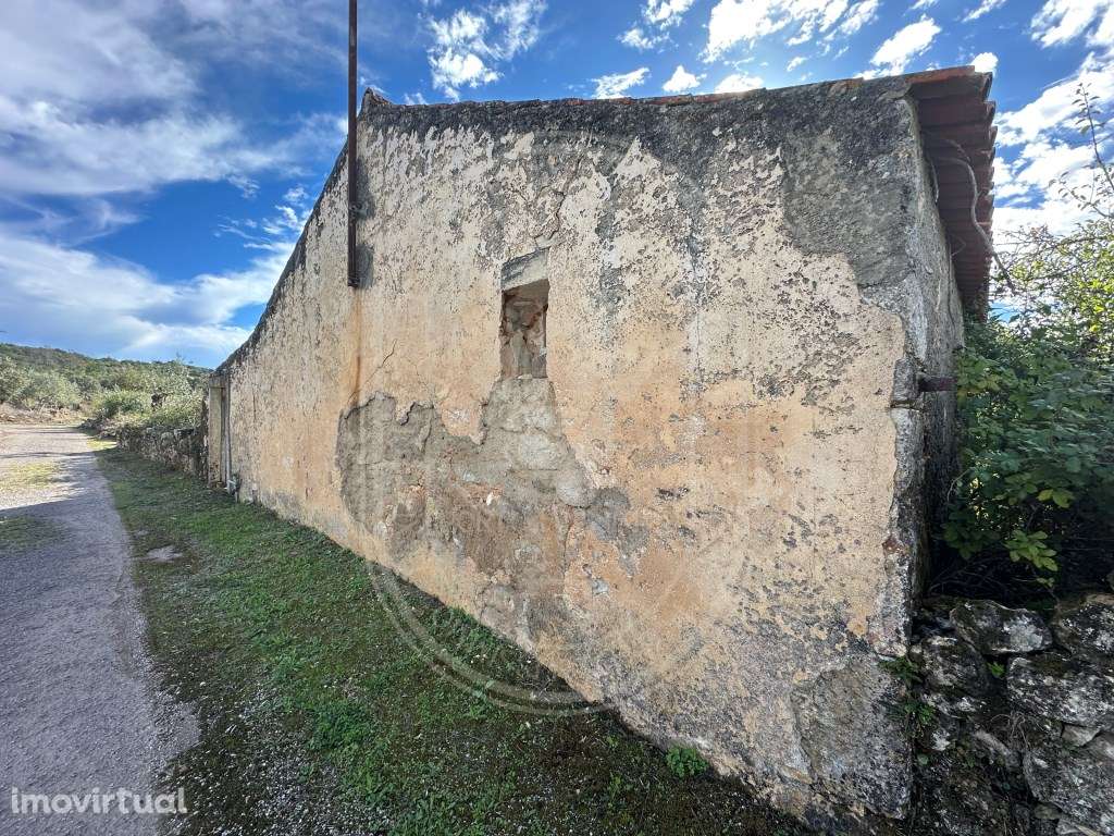 Encantadora quinta para renovar com 11.600 m² de terreno com olivei... - Grande imagem: 5/34