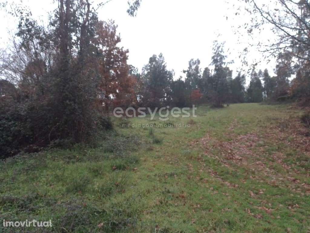 Terreno para construção, localizado em Canas de Santa Maria, Tondela - Grande imagem: 2/16