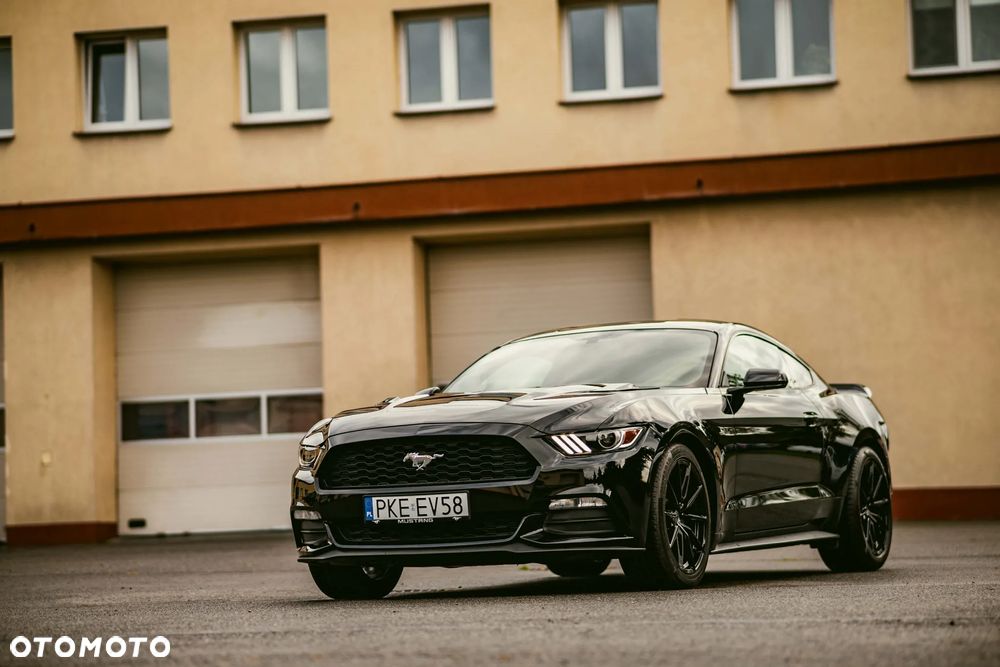 Ford Mustang 3.7 V6 - 13