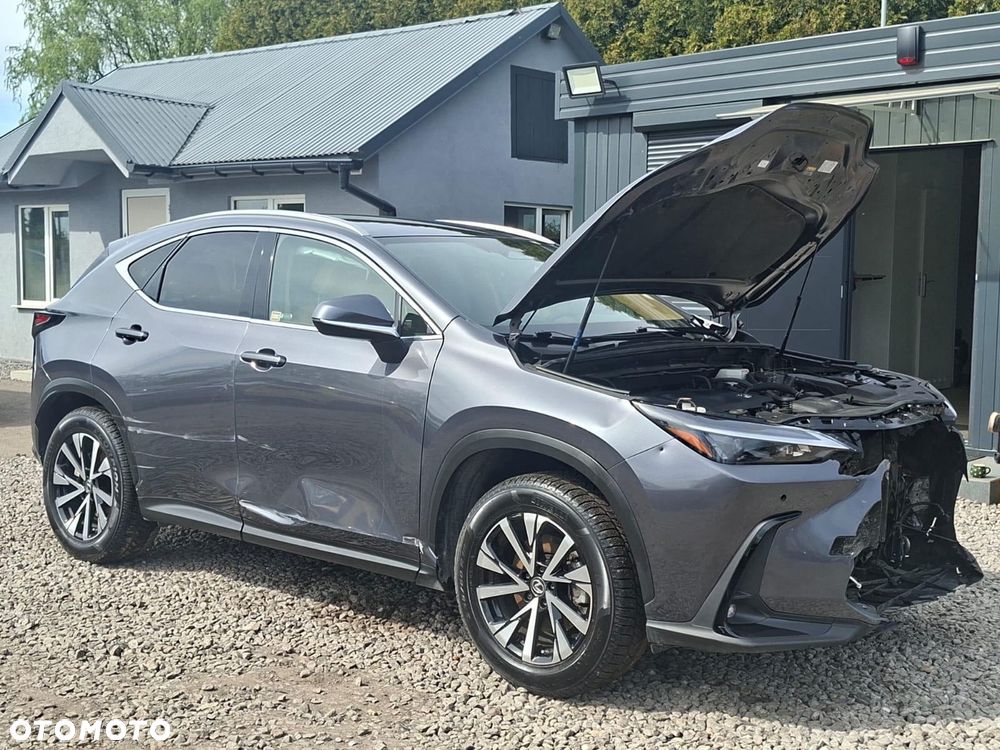 Lexus NX - 13