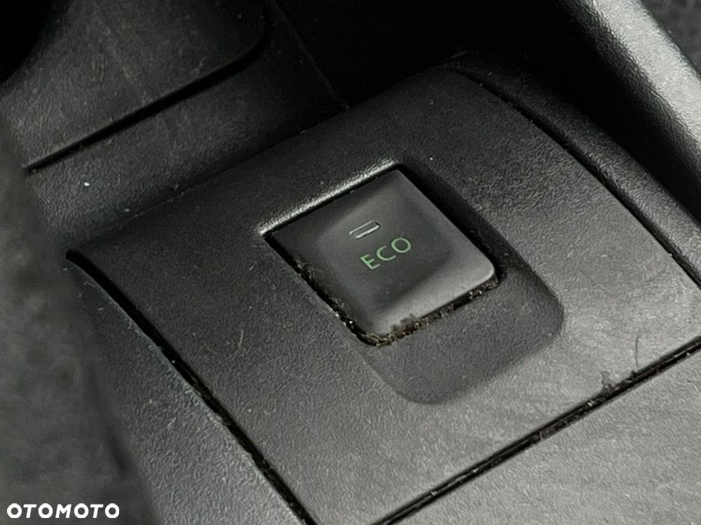 Renault Kangoo - 25