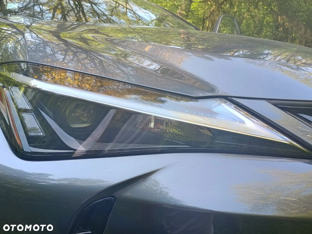 Lexus UX 250h Prestige 2WD - 16