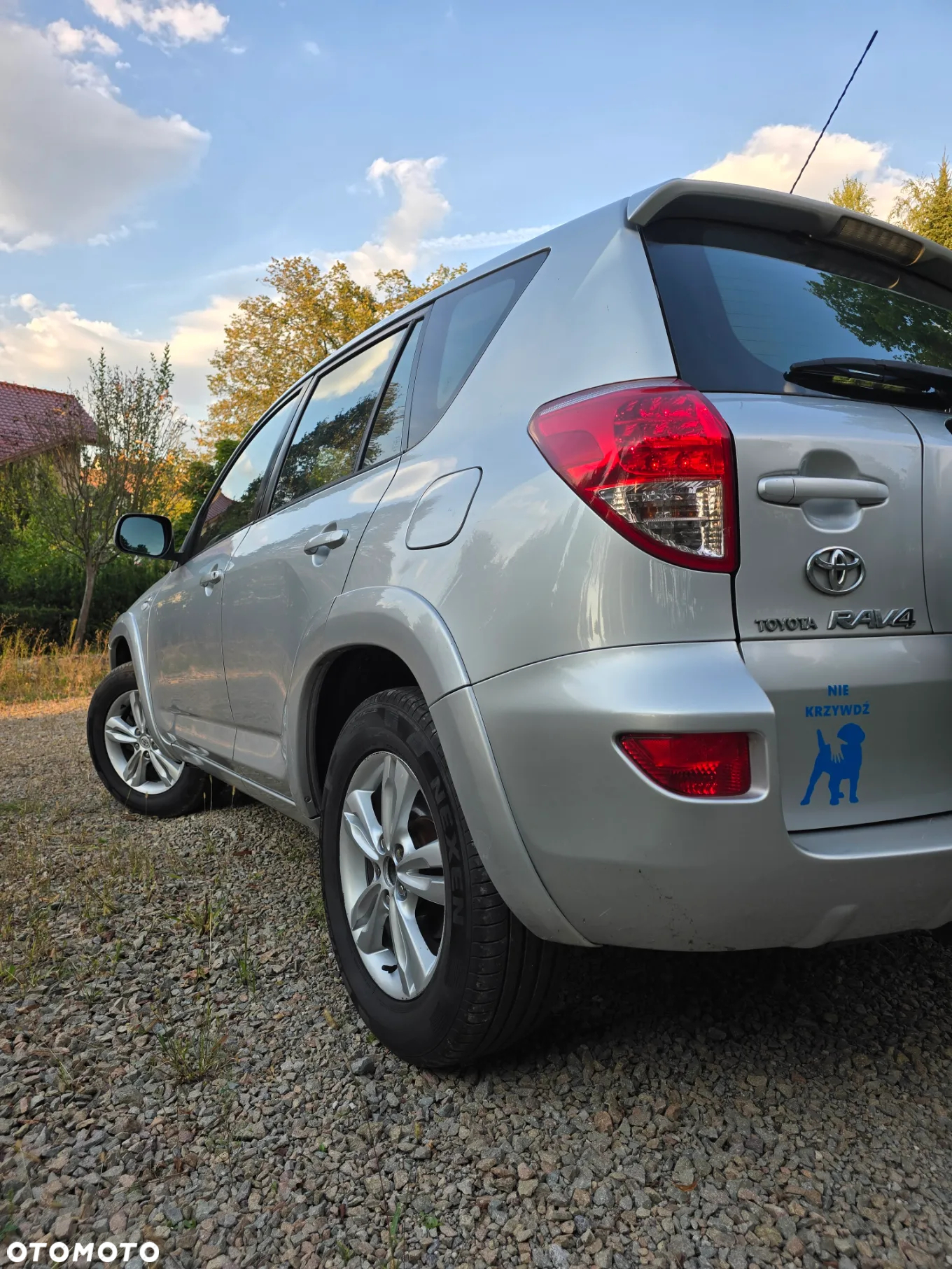 Toyota RAV4 2.2 D-CAT 4x4 Executive - 7